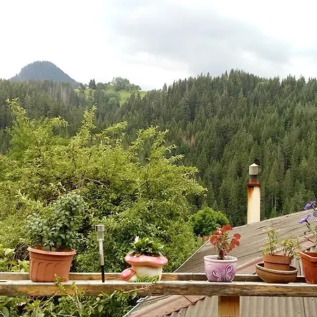Guest house Къщи За Гости 