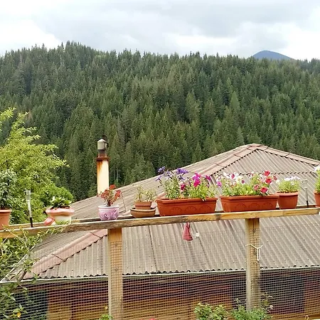 Къщи За Гости 